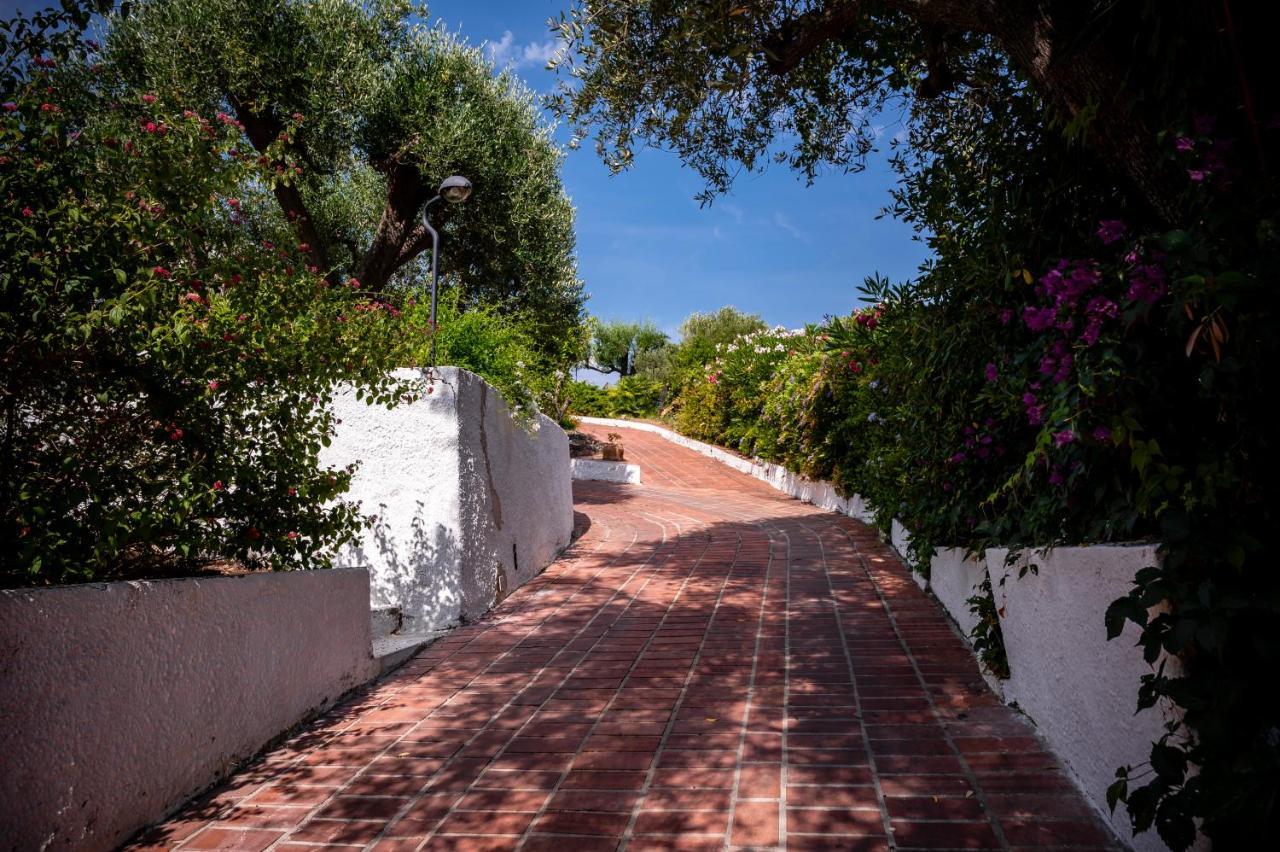 B&B Casabianca Палинуро Экстерьер фото