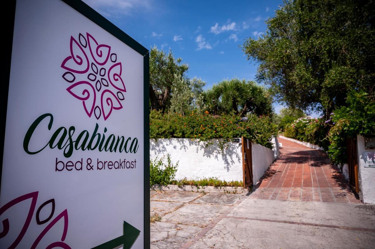 B&B Casabianca Палинуро Экстерьер фото