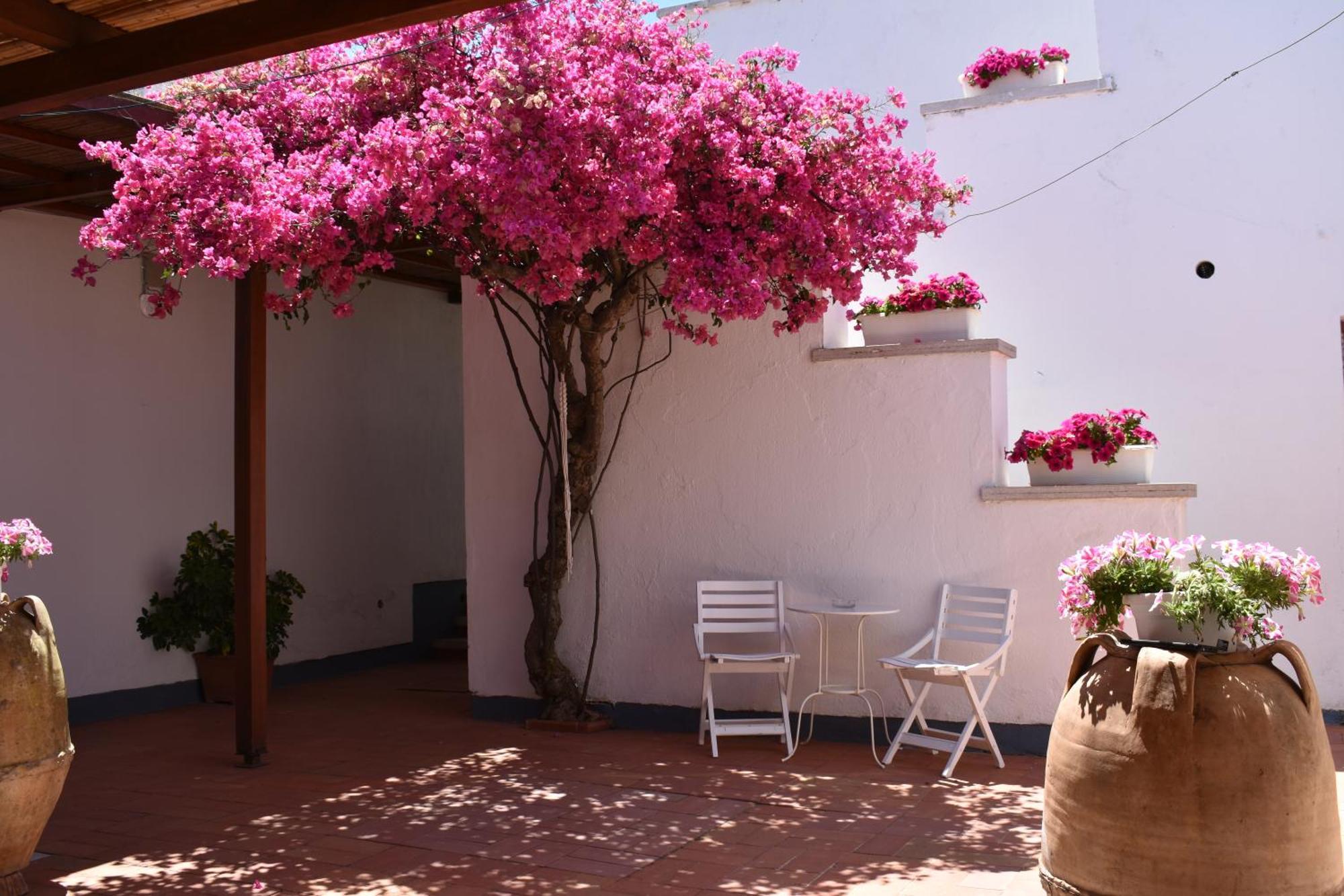 B&B Casabianca Палинуро Экстерьер фото